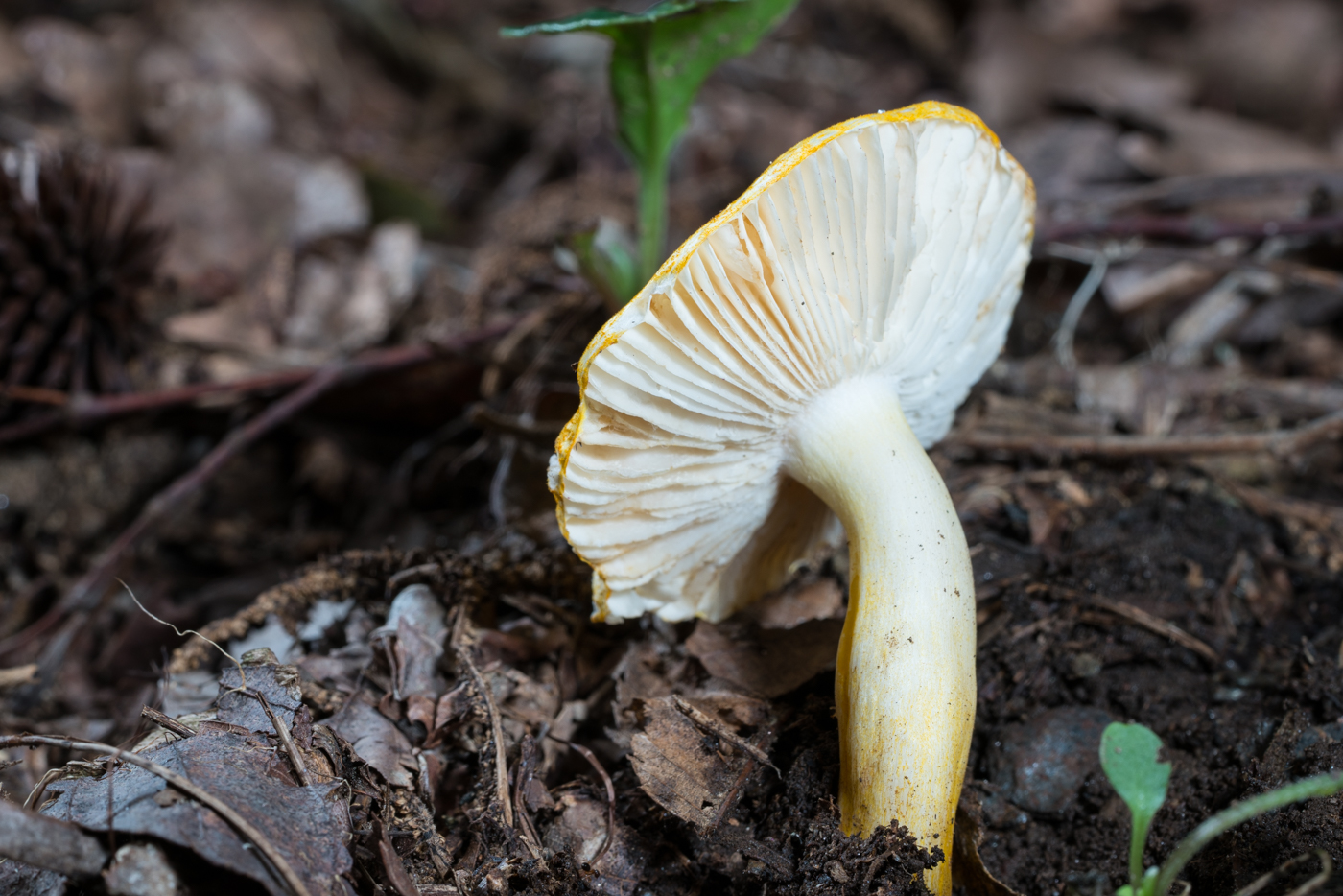 DSC04573.jpg