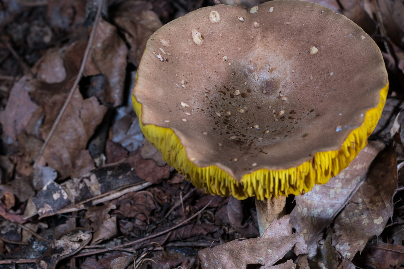 DSC03169.jpg