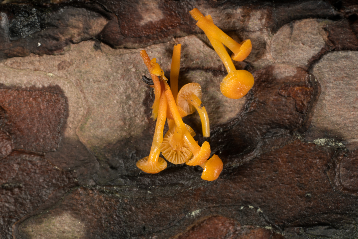 YDY07524.jpg