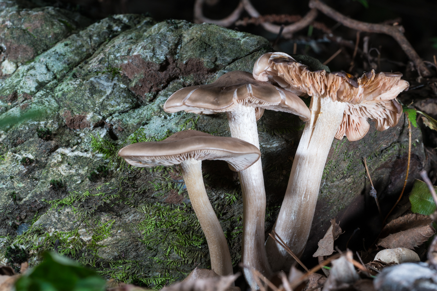 YDY05675.jpg