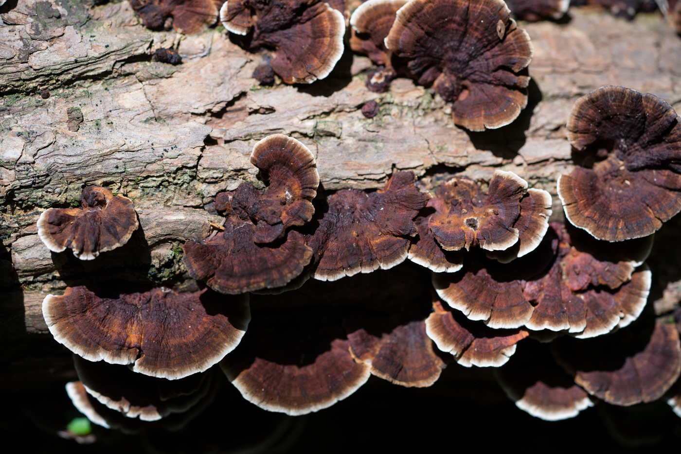YDY05678.jpg