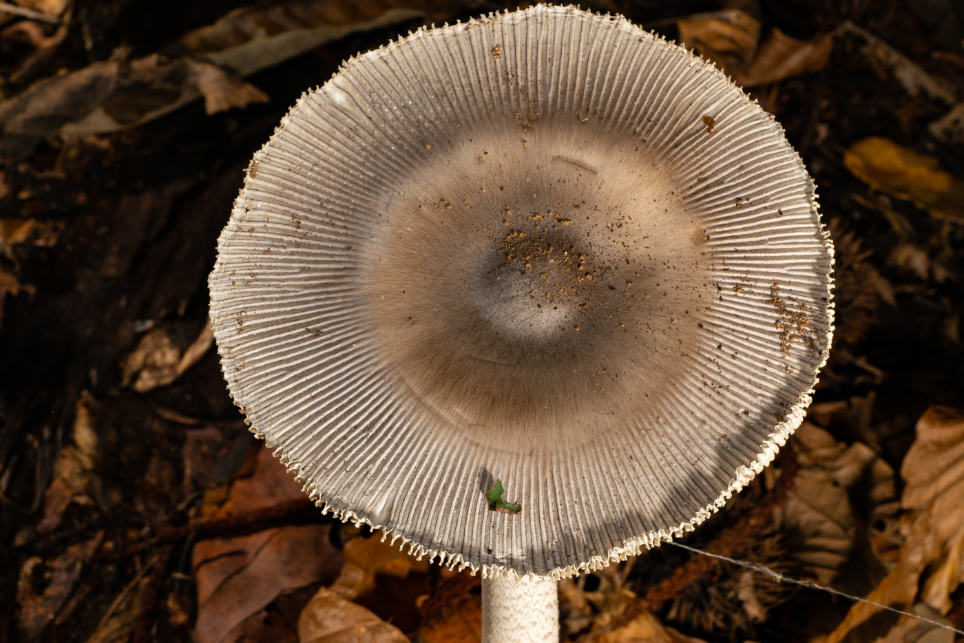 YDY00768.jpg