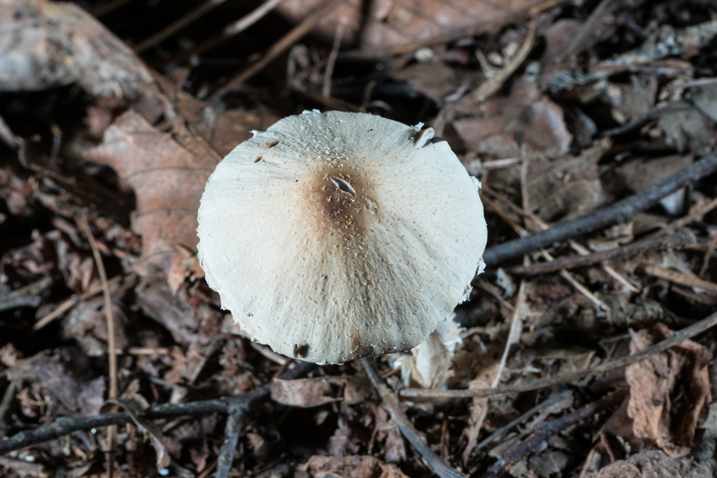 DSC03213.jpg