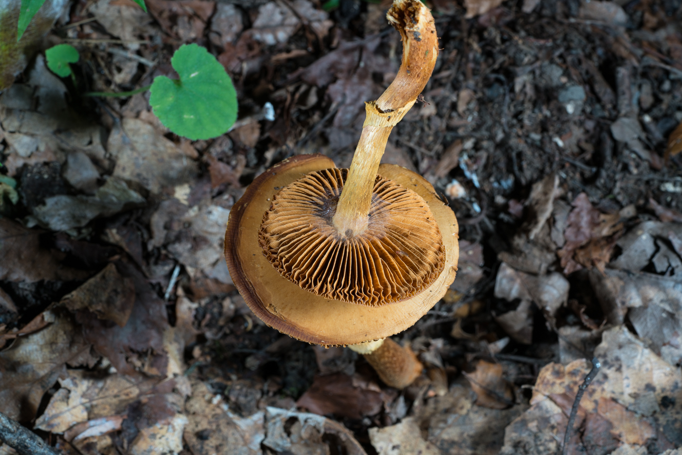 YDY05785.jpg