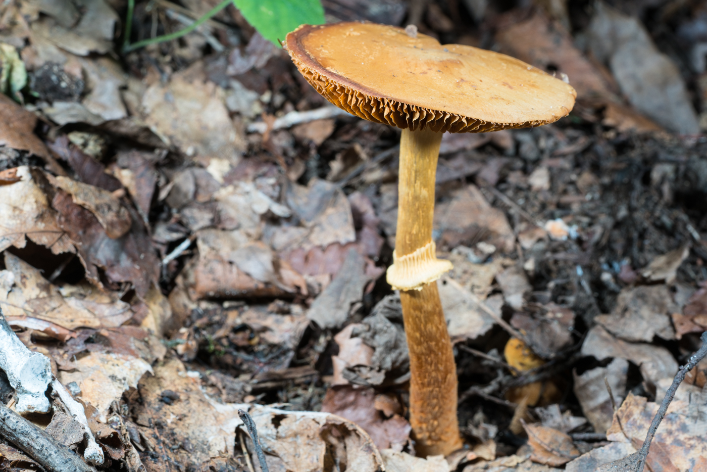 YDY05790.jpg