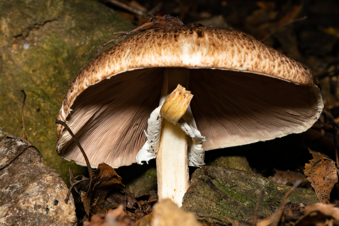 YDY00960.jpg