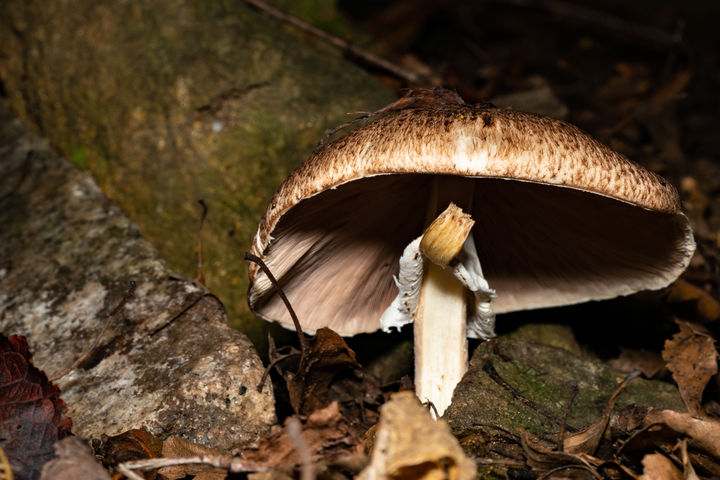 YDY00962.jpg