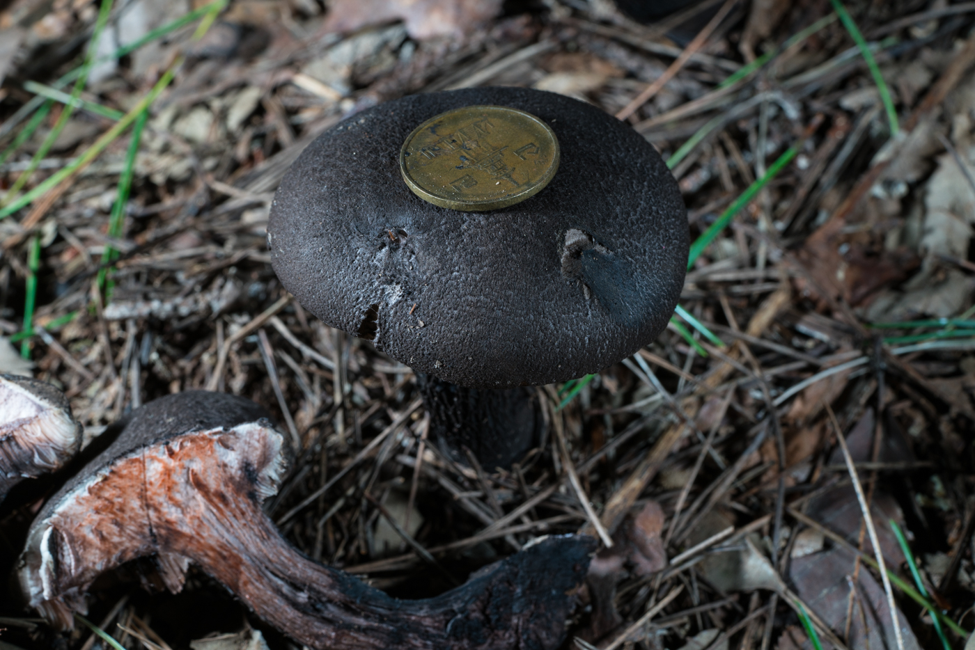 YDY05828.jpg