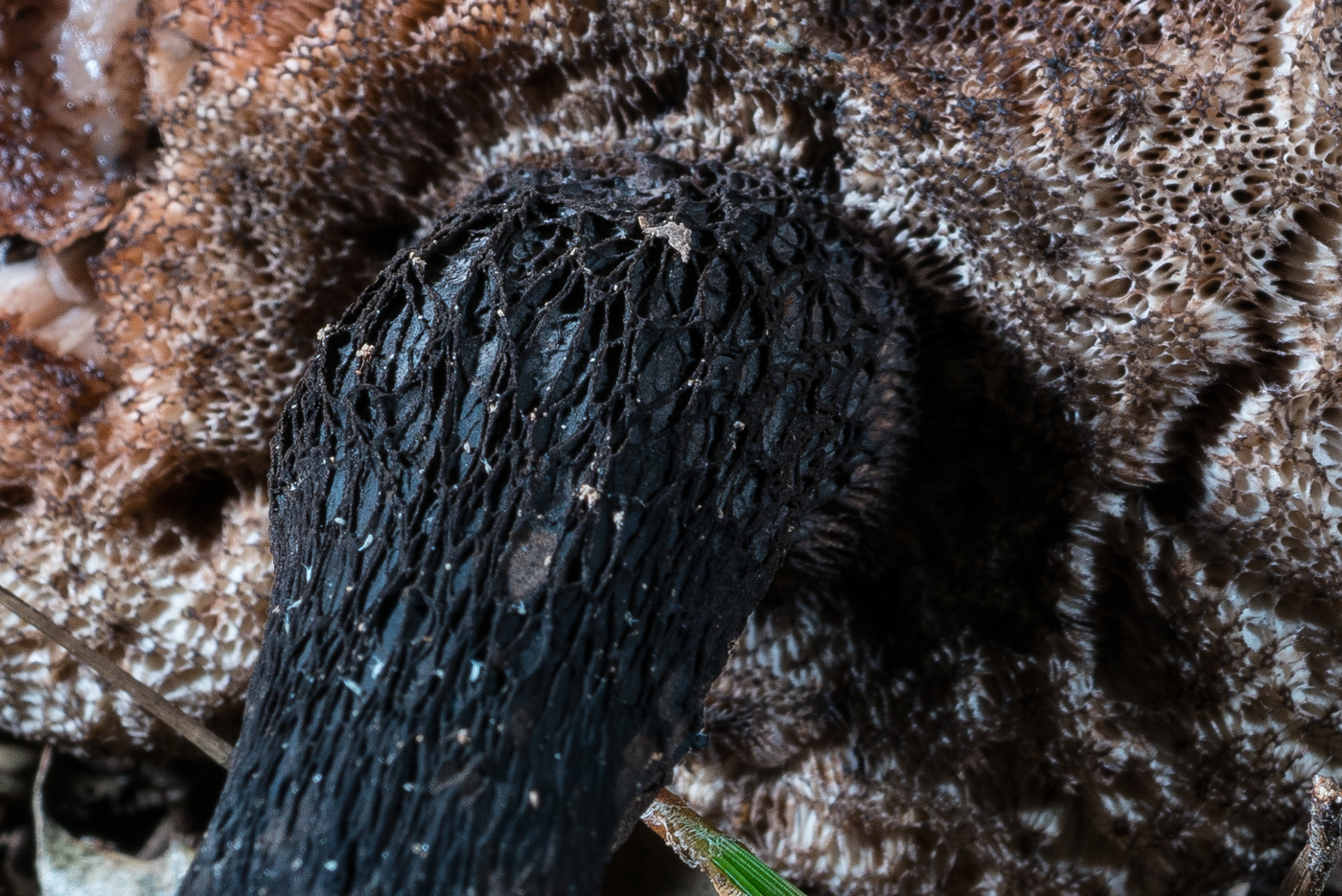 YDY05823-2.jpg