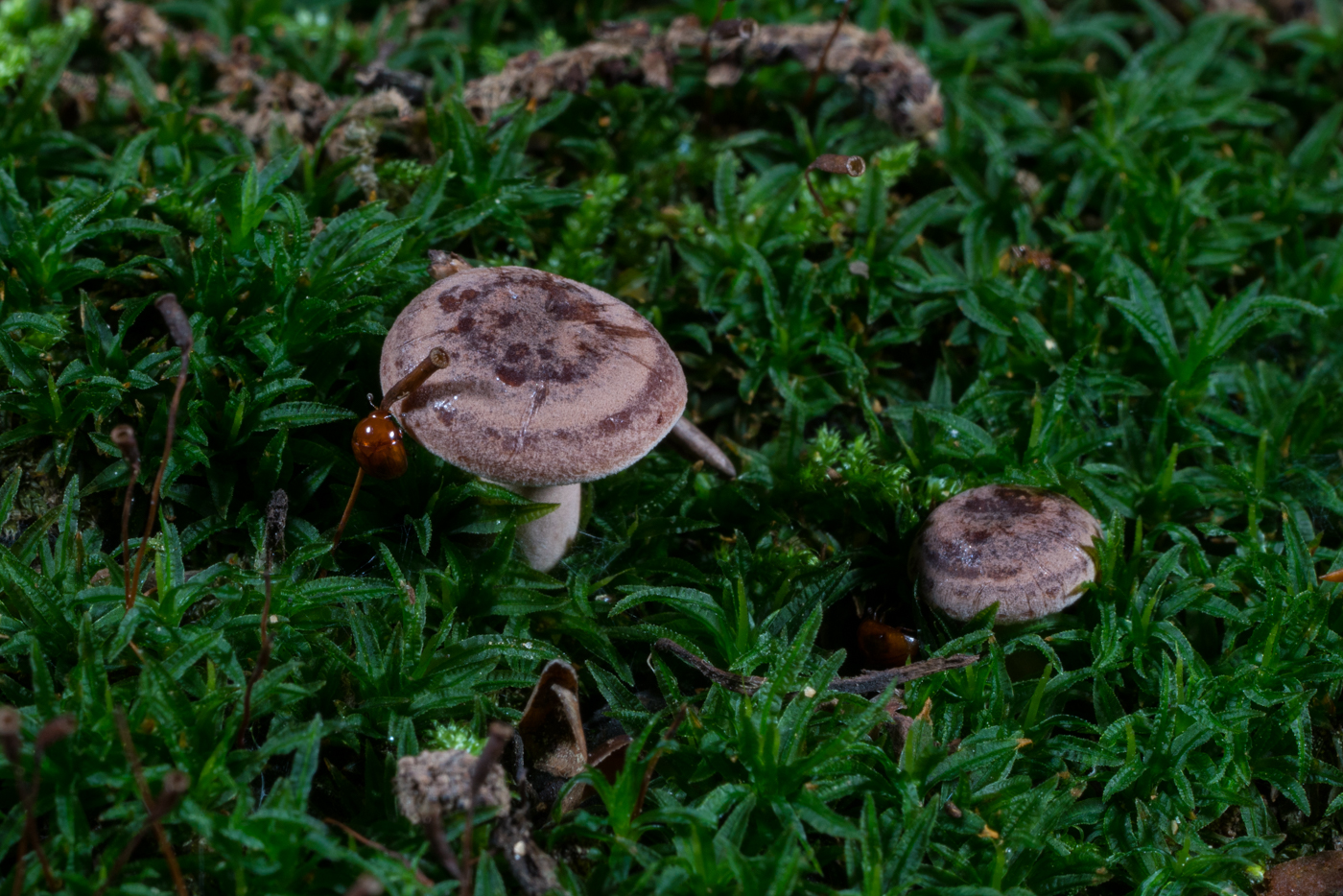 DSC03278.jpg