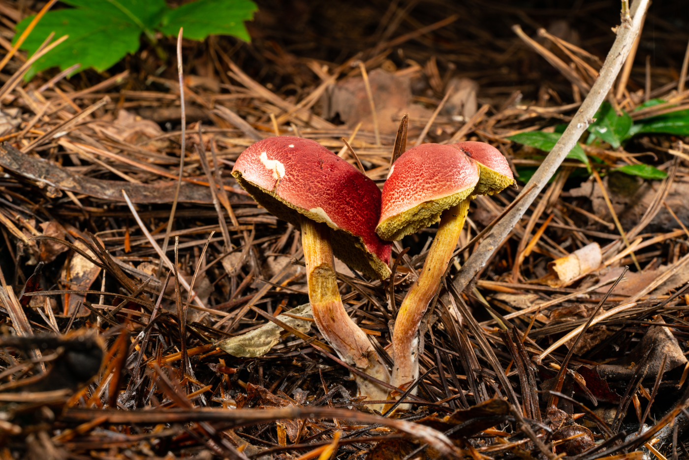 YDY01047.jpg