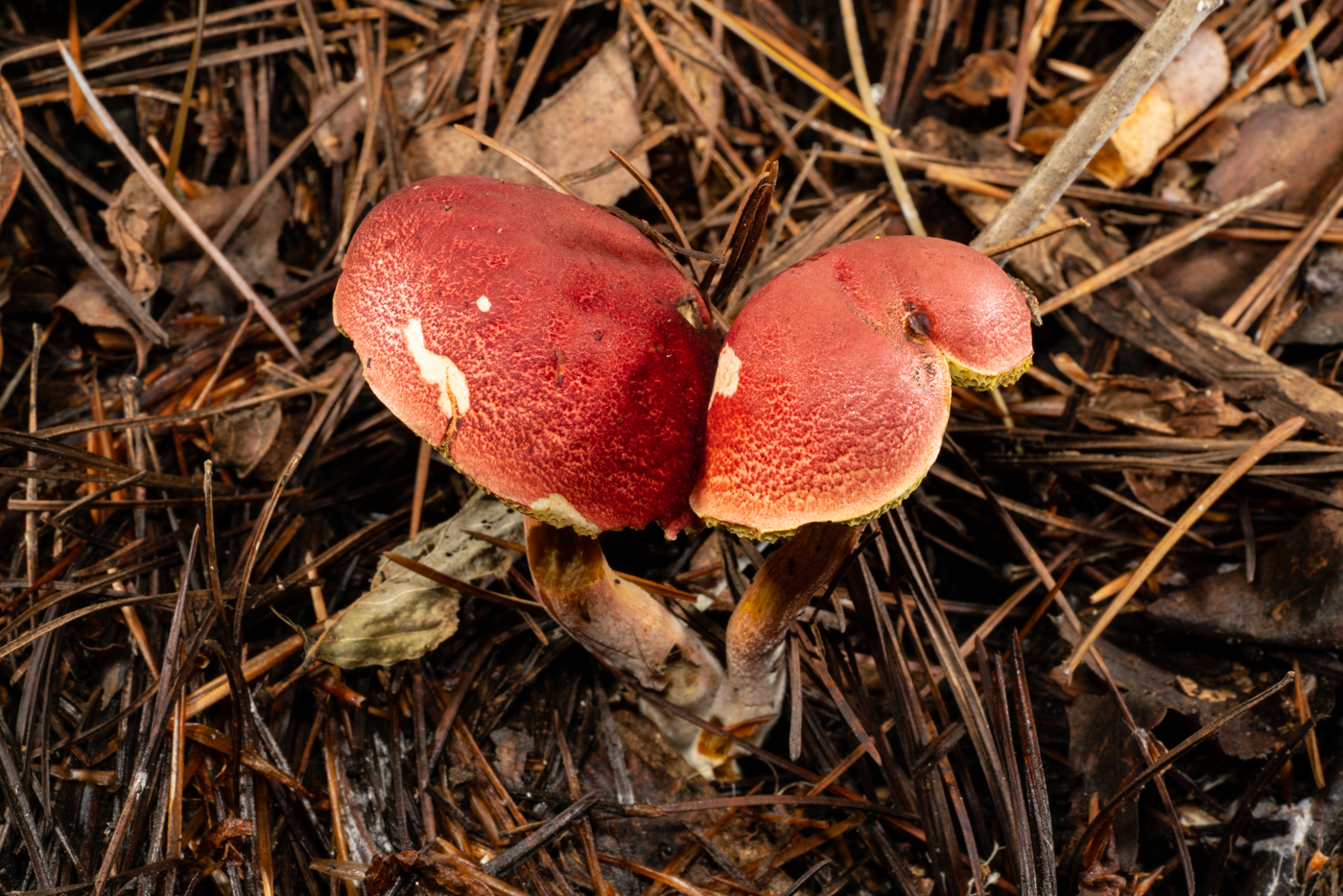 YDY01049.jpg