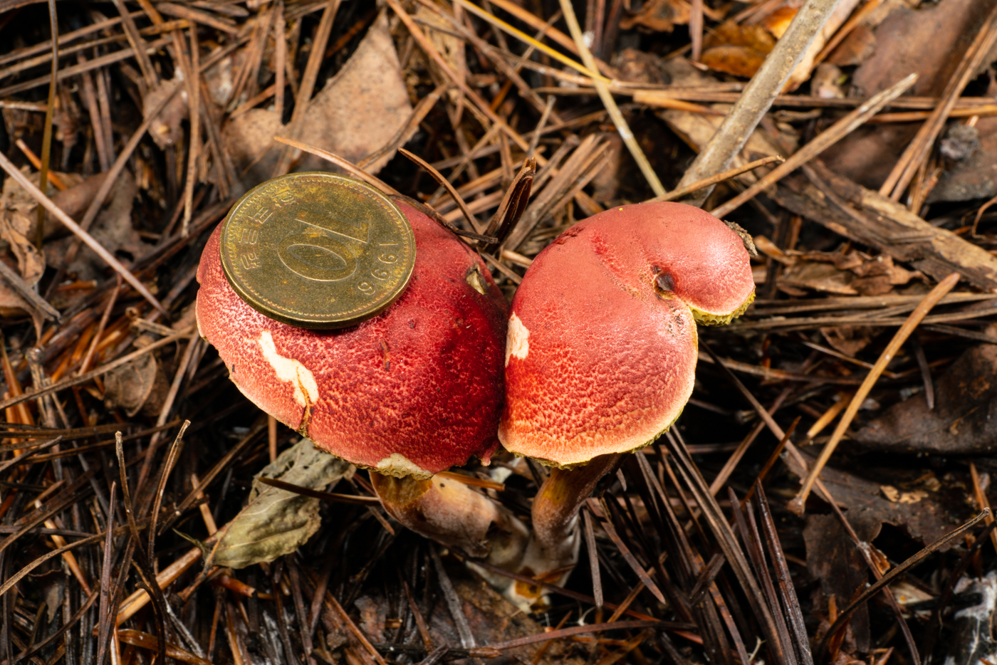 YDY01051.jpg