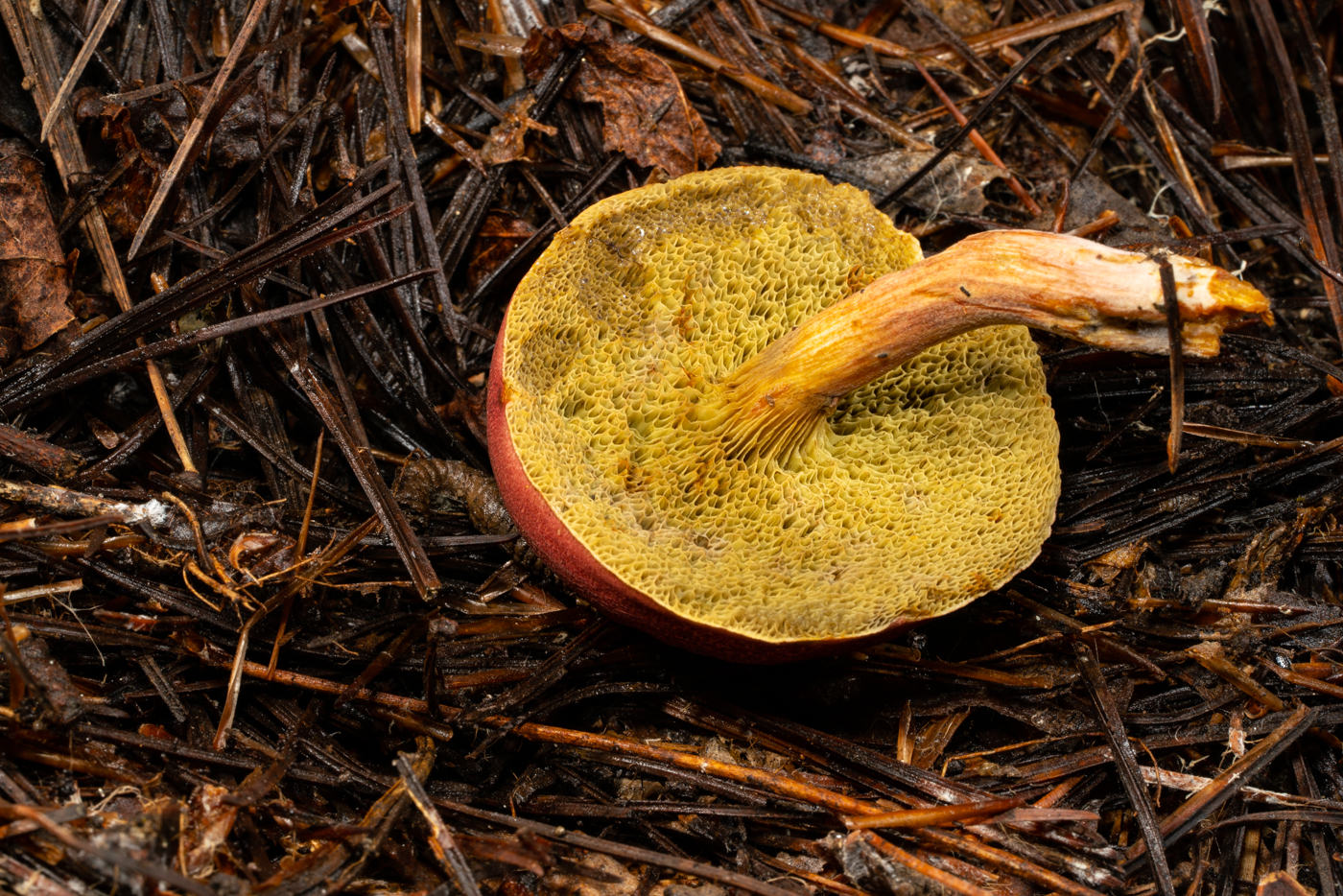 YDY01052.jpg