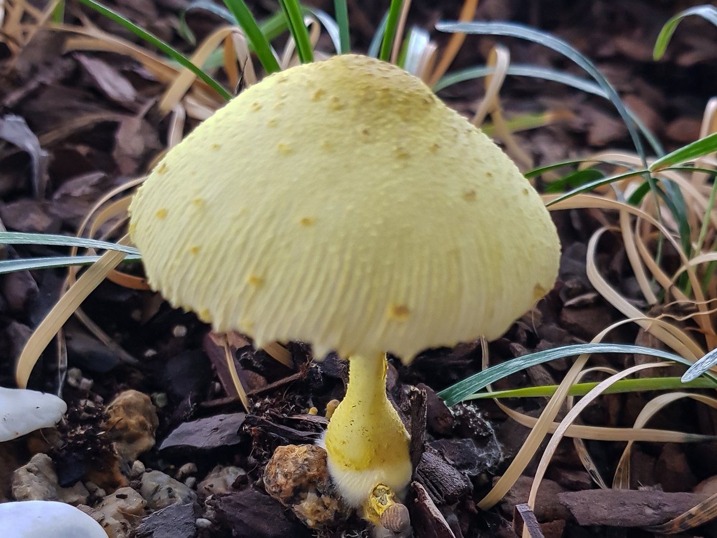 20190725_153556.jpg