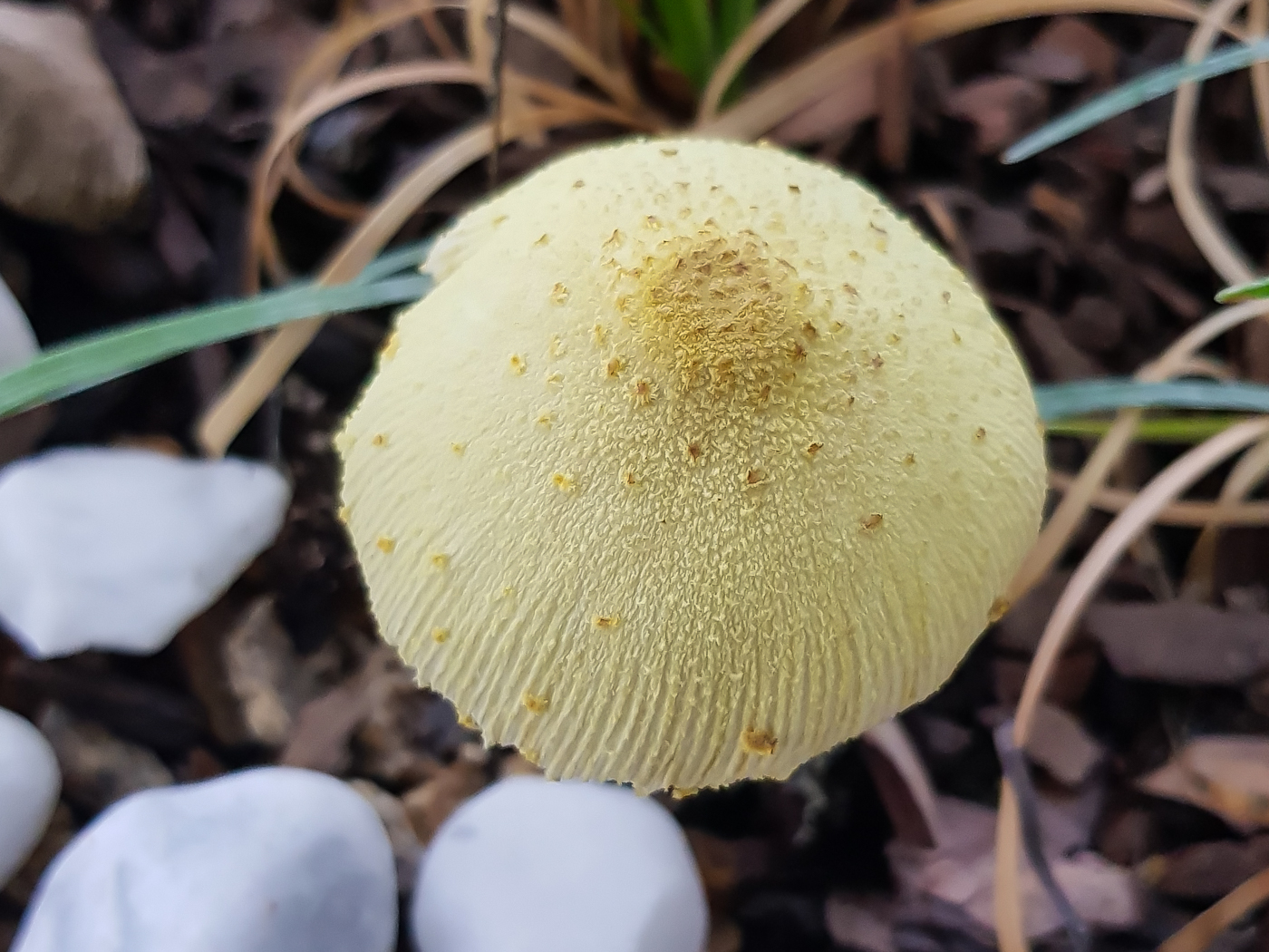 20190725_153552.jpg