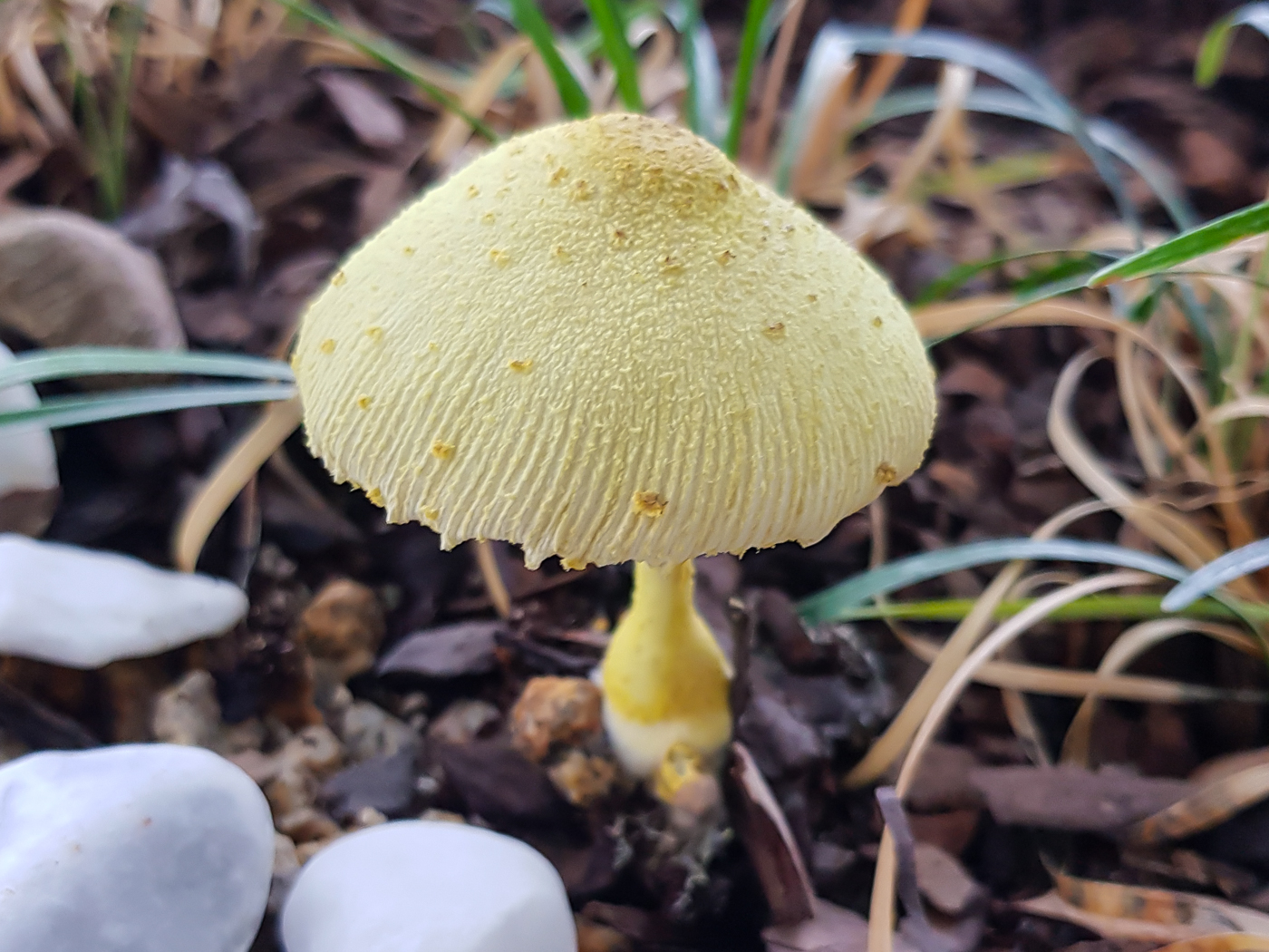 20190725_153549.jpg