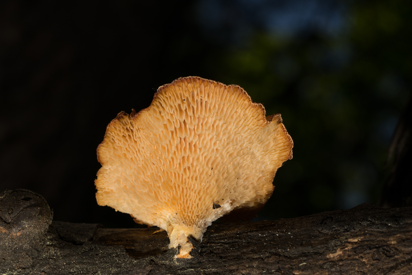 YDY07379.jpg