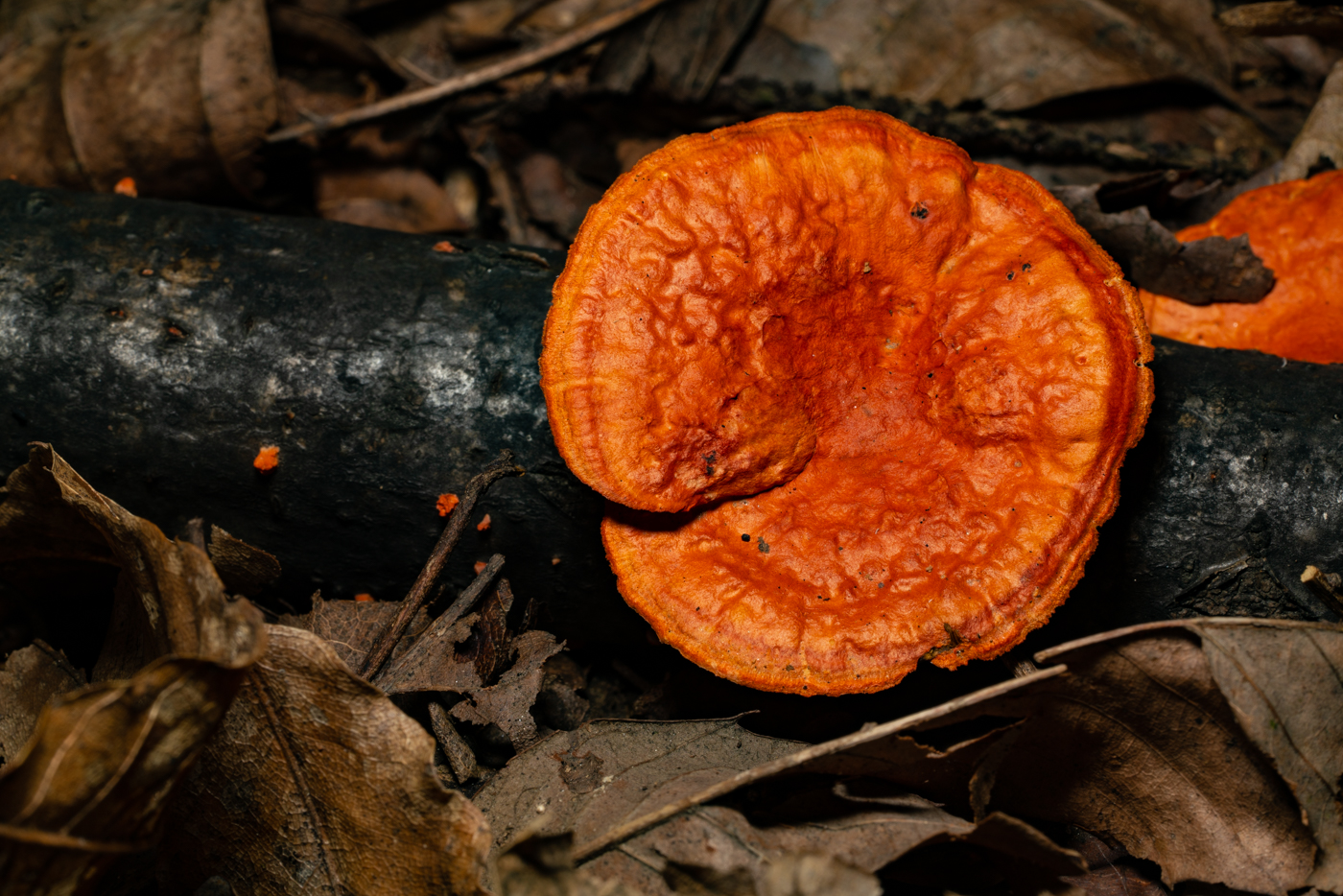 YDY01115.jpg