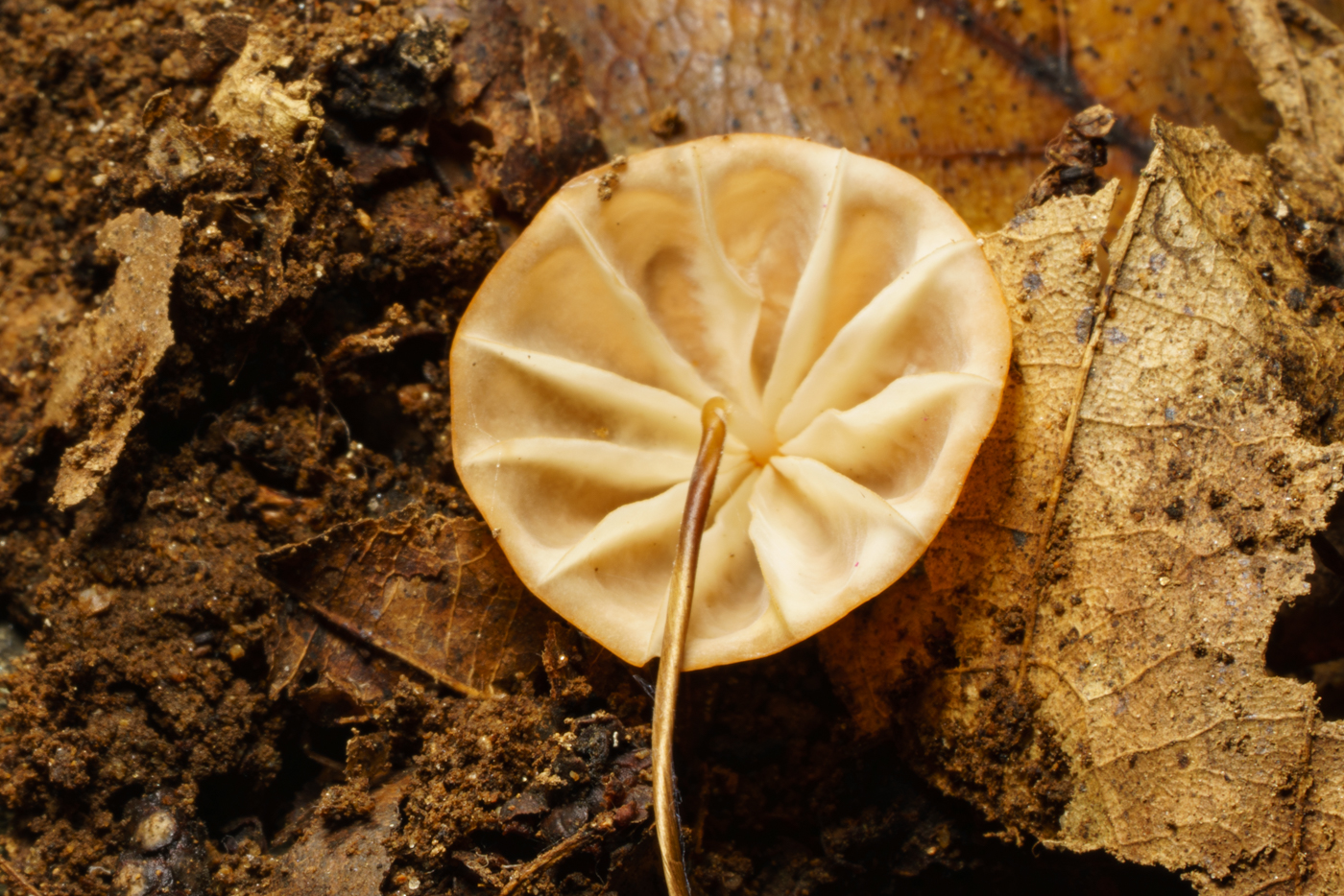 YDY00641.jpg