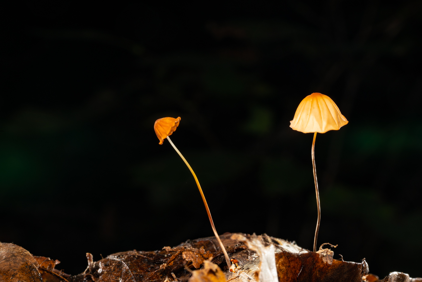 YDY00639.jpg