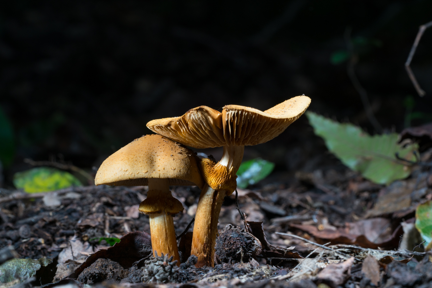 YDY06598.jpg