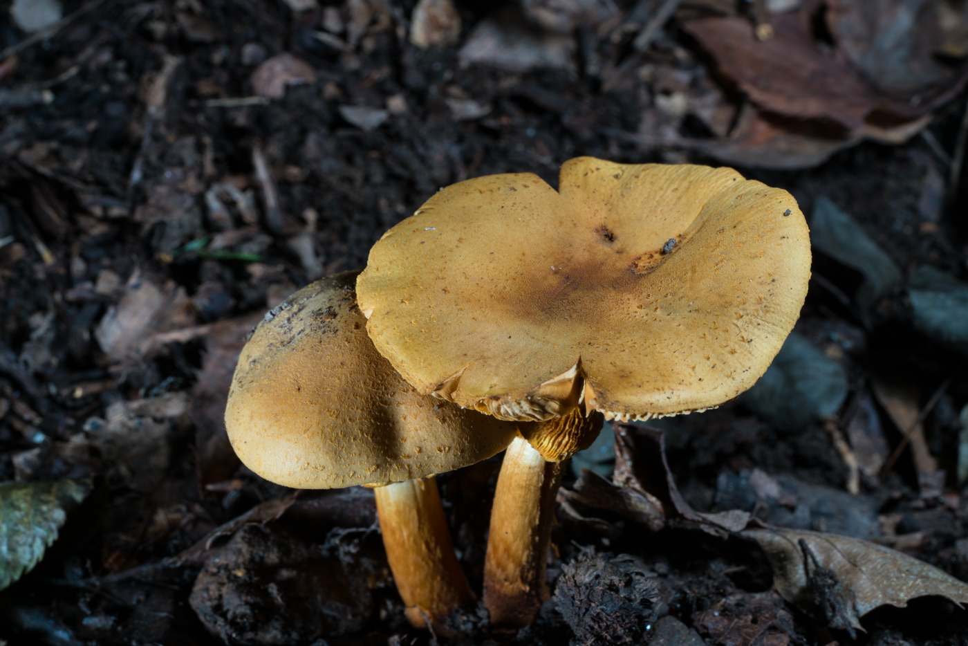 YDY06606.jpg