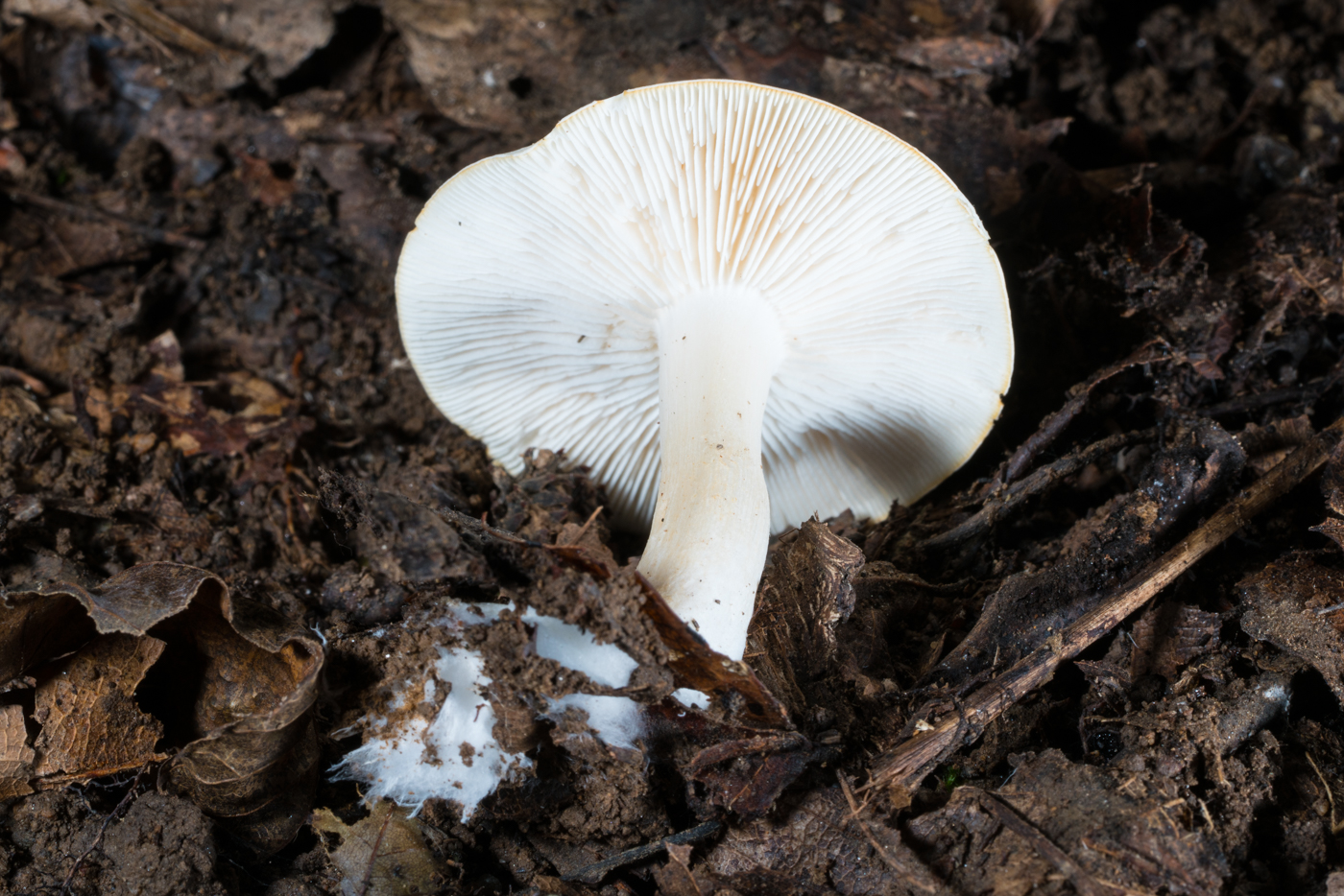 YDY06616.jpg