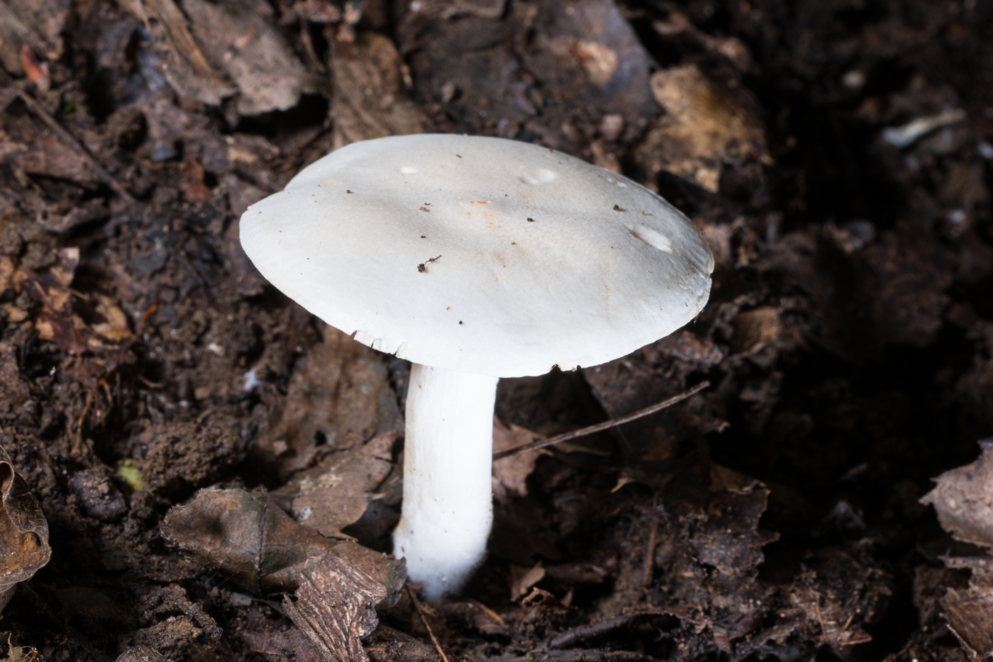 YDY06612.jpg