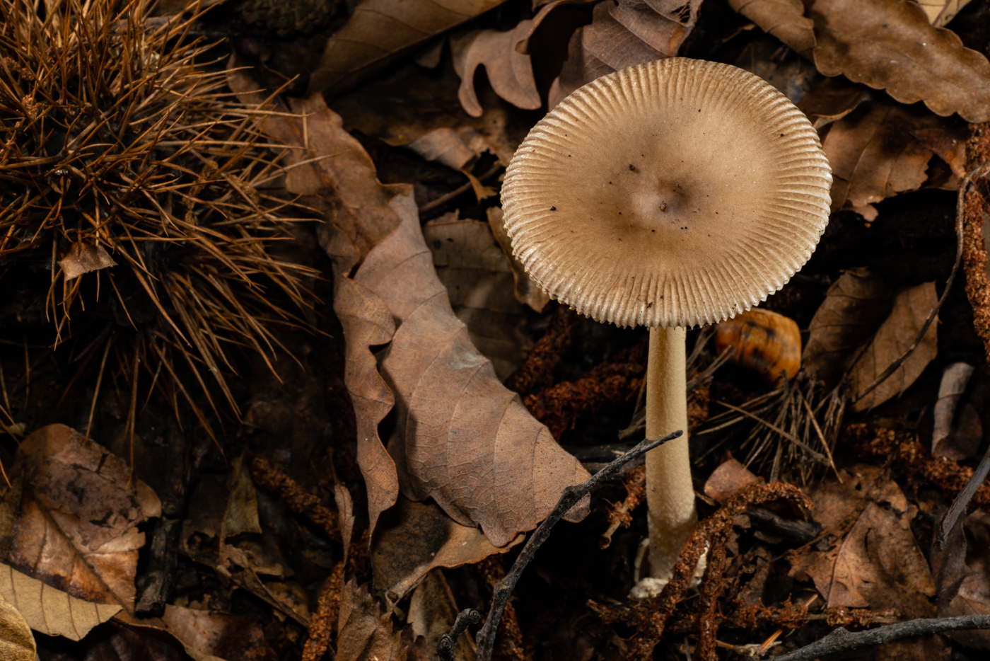 YDY00665.jpg