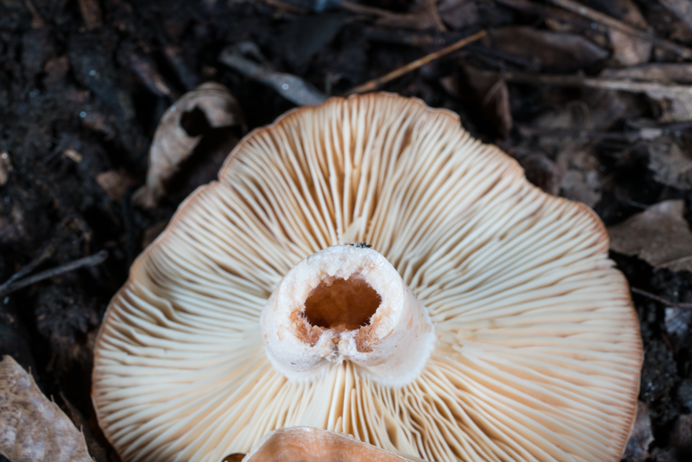 YDY06644.jpg
