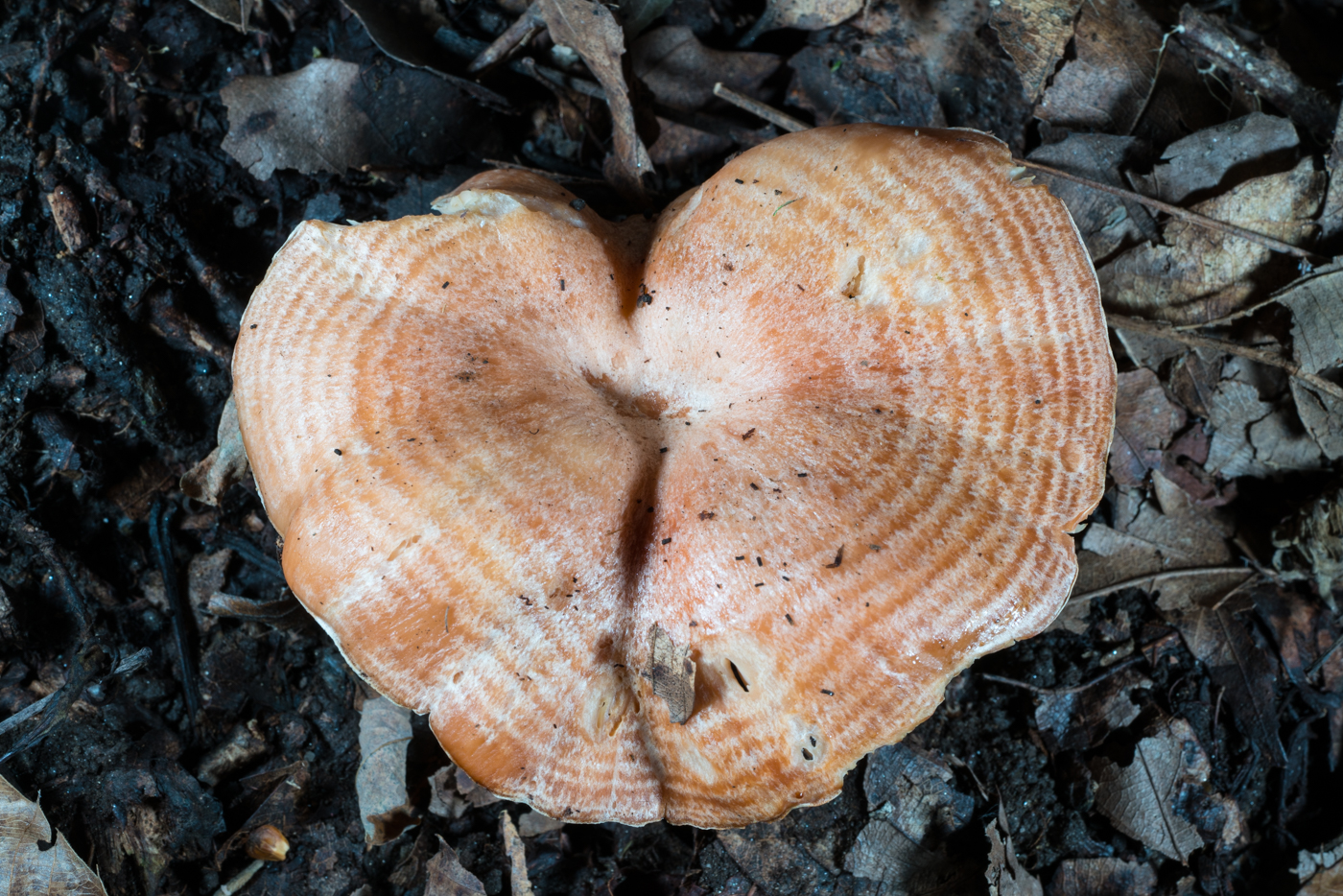 YDY06640.jpg