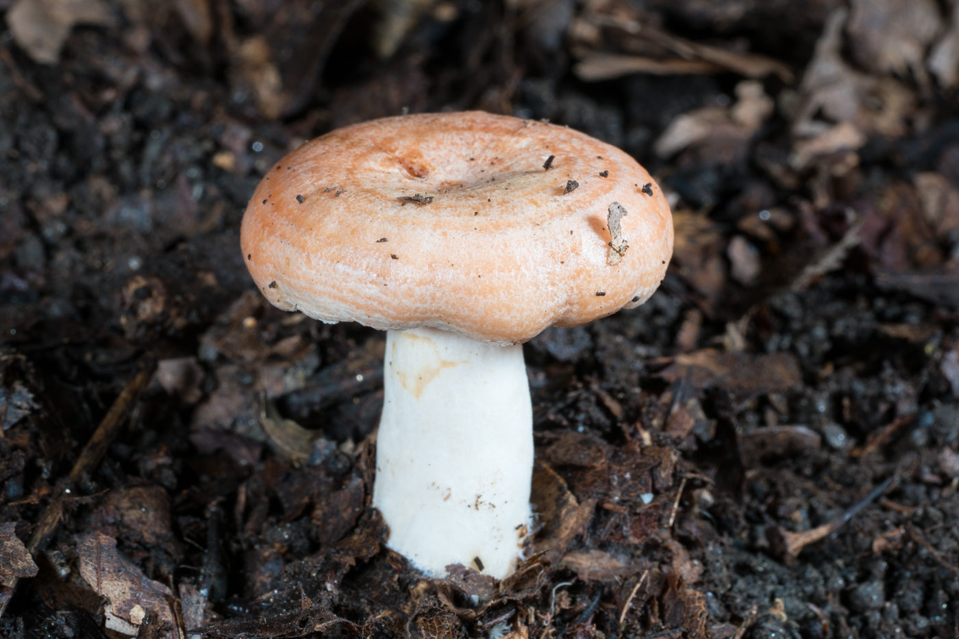 YDY06649.jpg