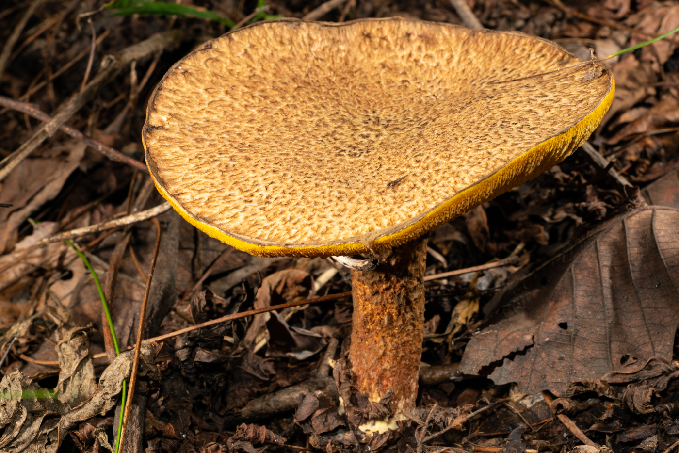 YDY00981.jpg