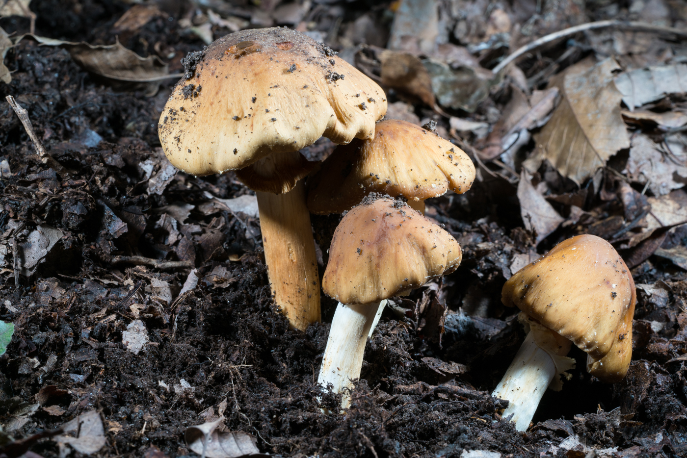 YDY06653.jpg