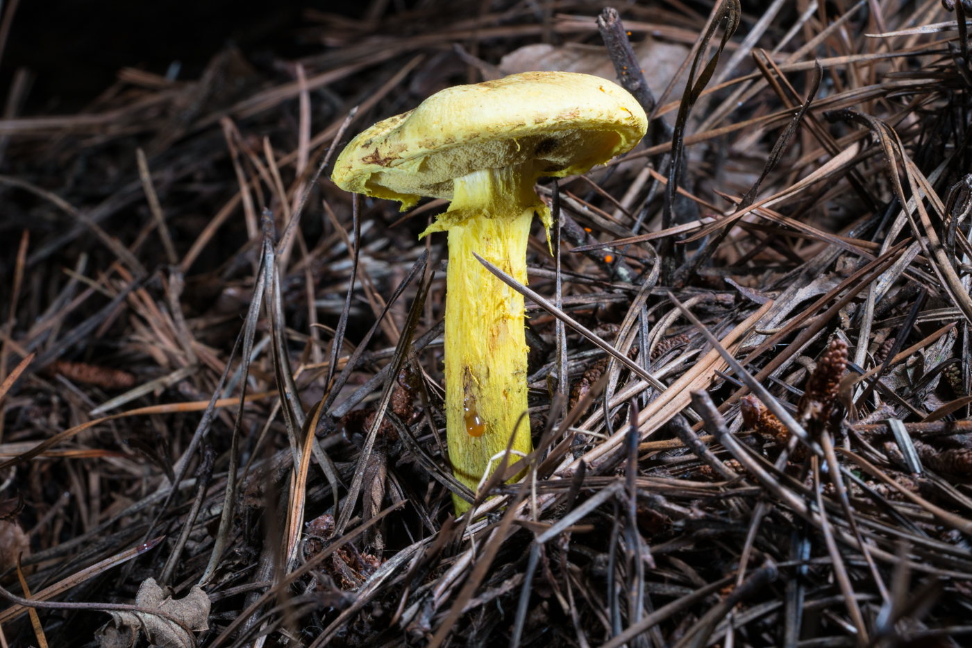 DSC03573.jpg