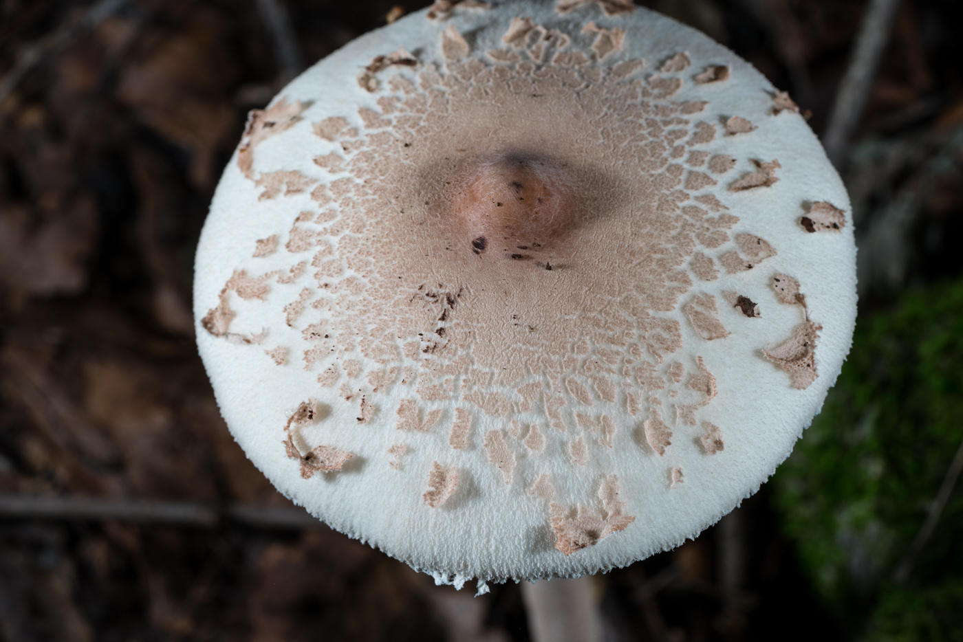 YDY05960.jpg