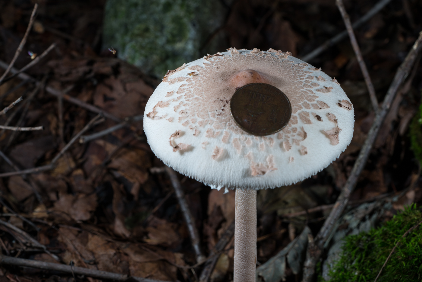 YDY05953.jpg