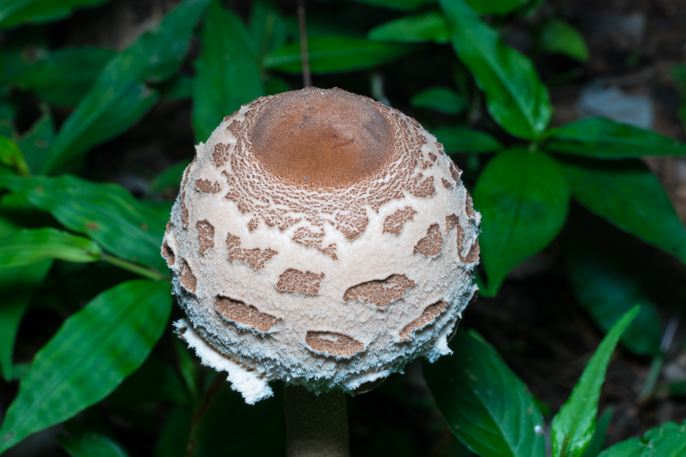YDY06226.jpg