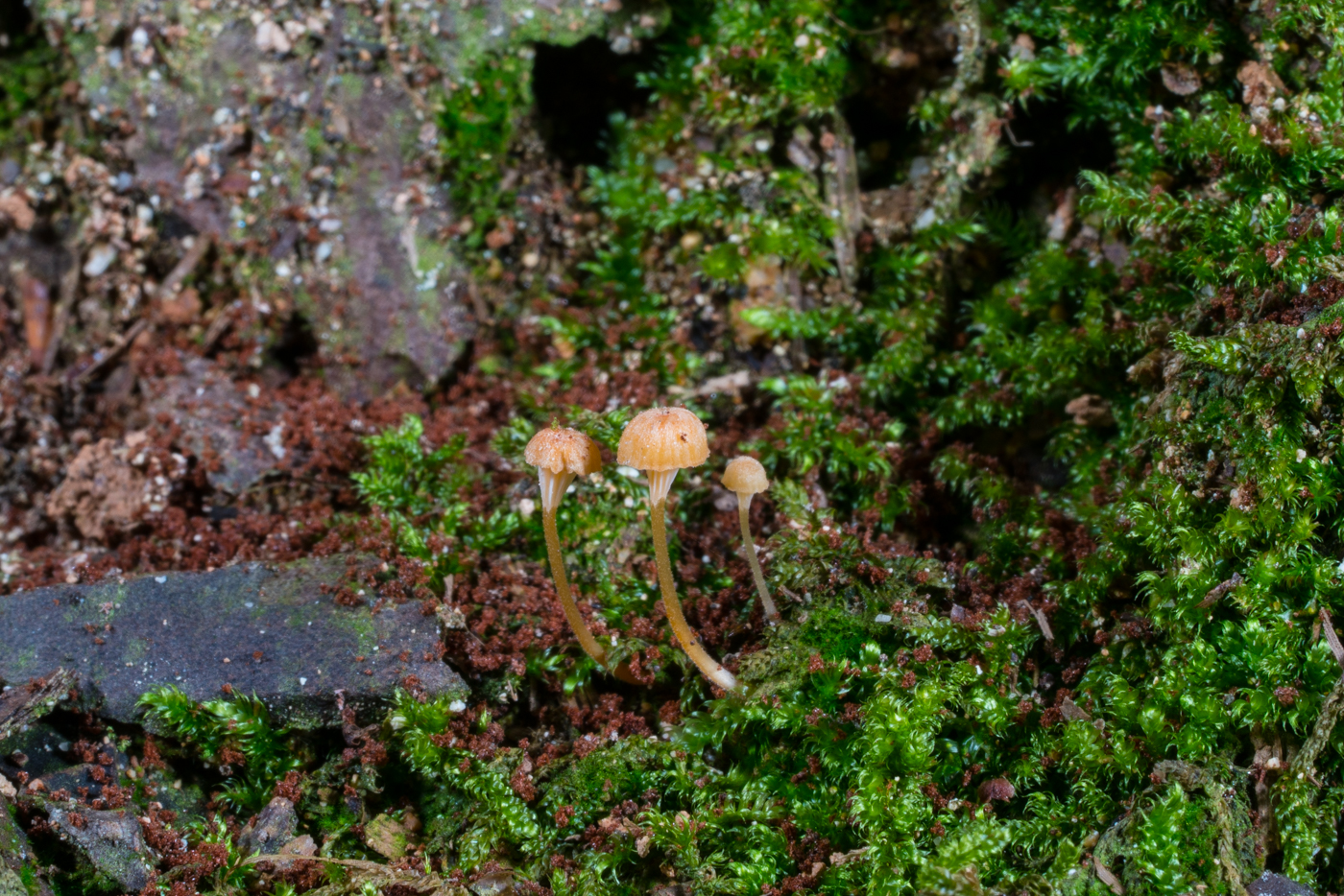 DSC03579.jpg
