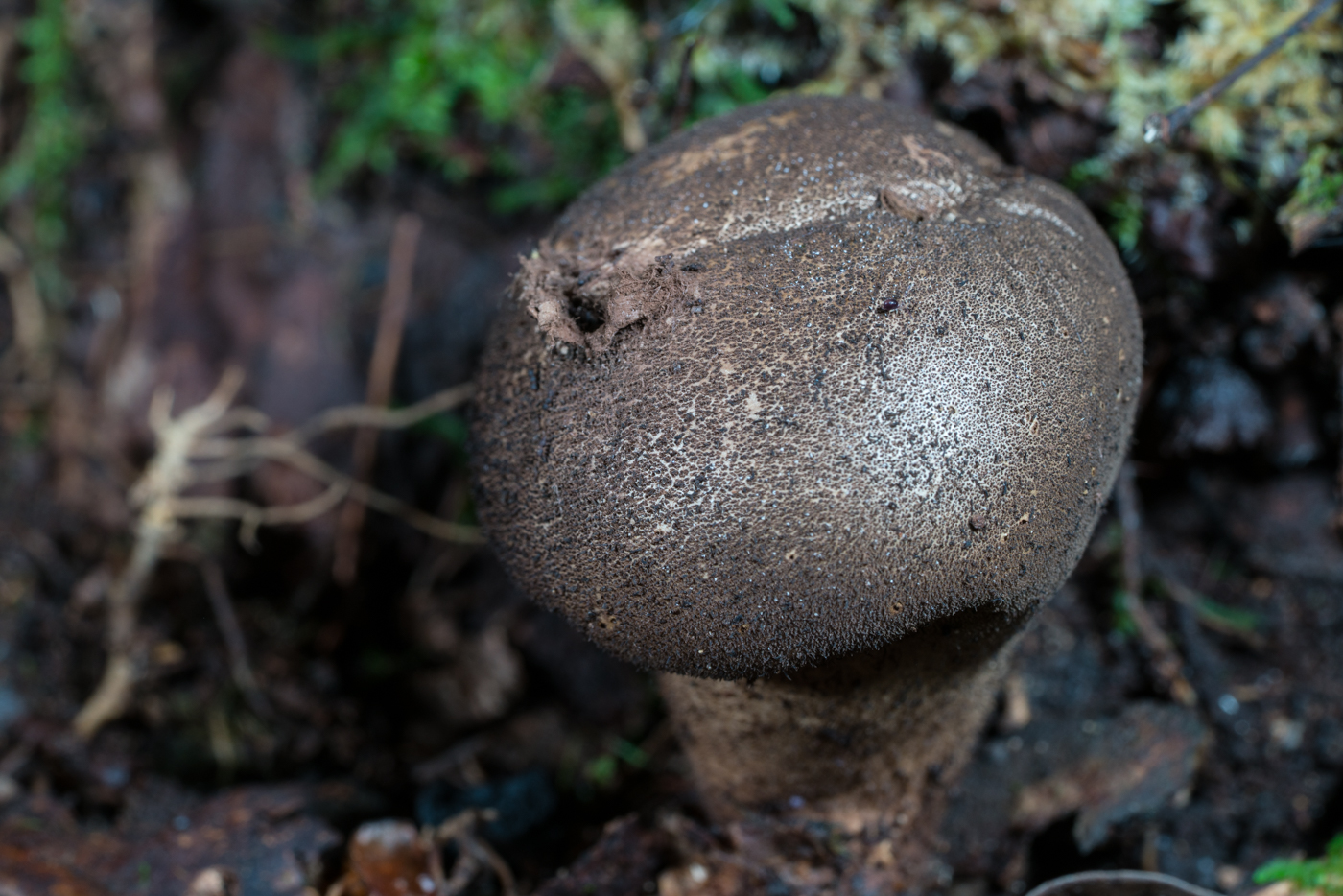 YDY05964.jpg