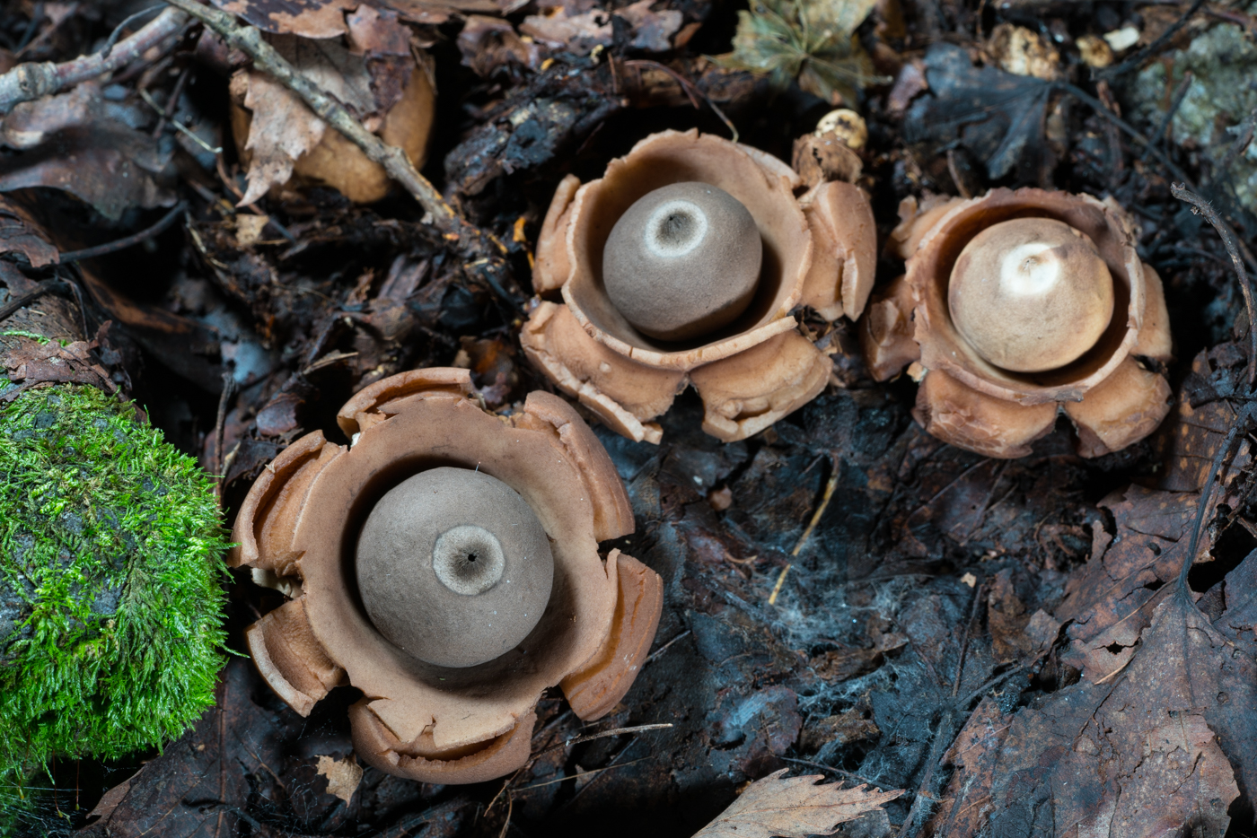 YDY05968.jpg