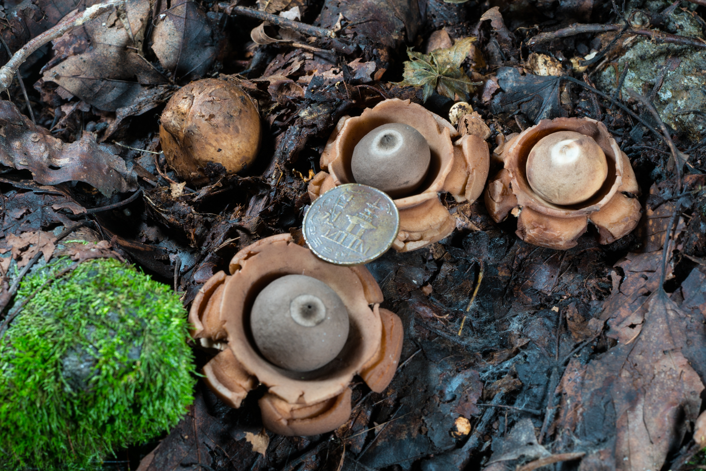 YDY05977.jpg