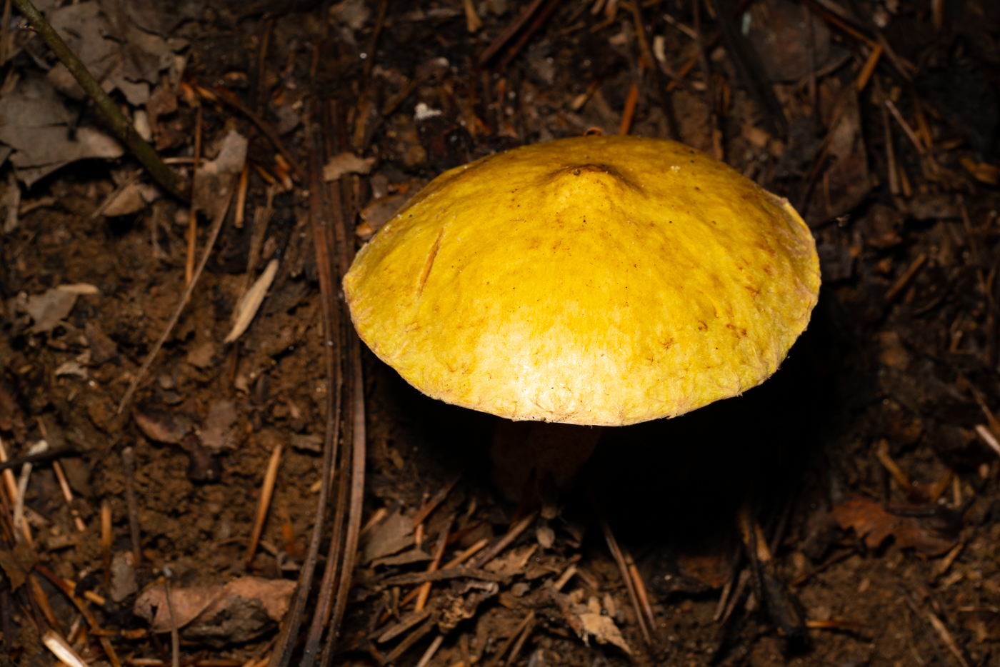 YDY01017.jpg