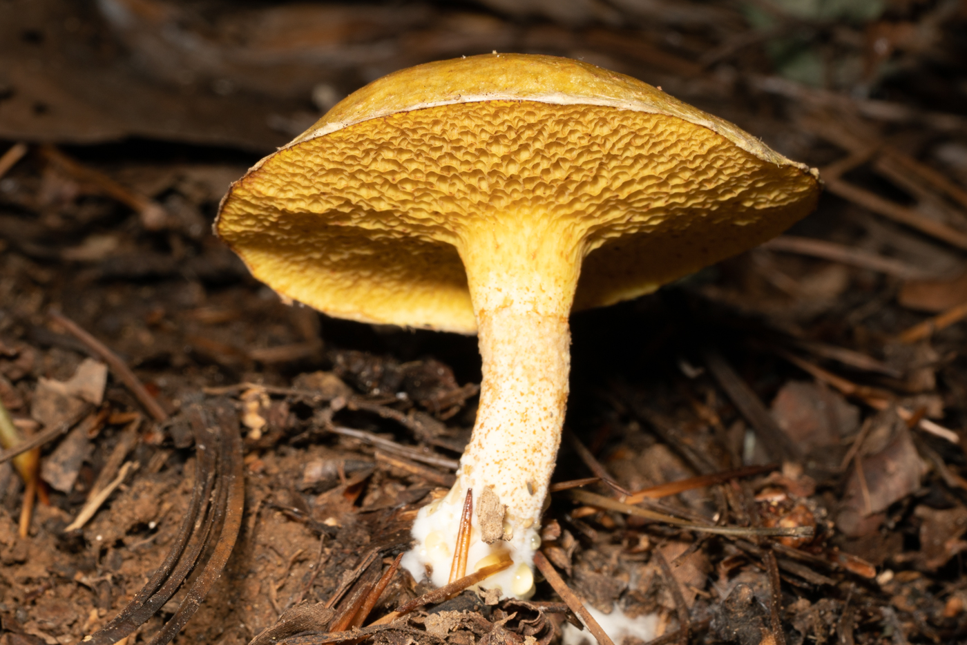 YDY01021.jpg