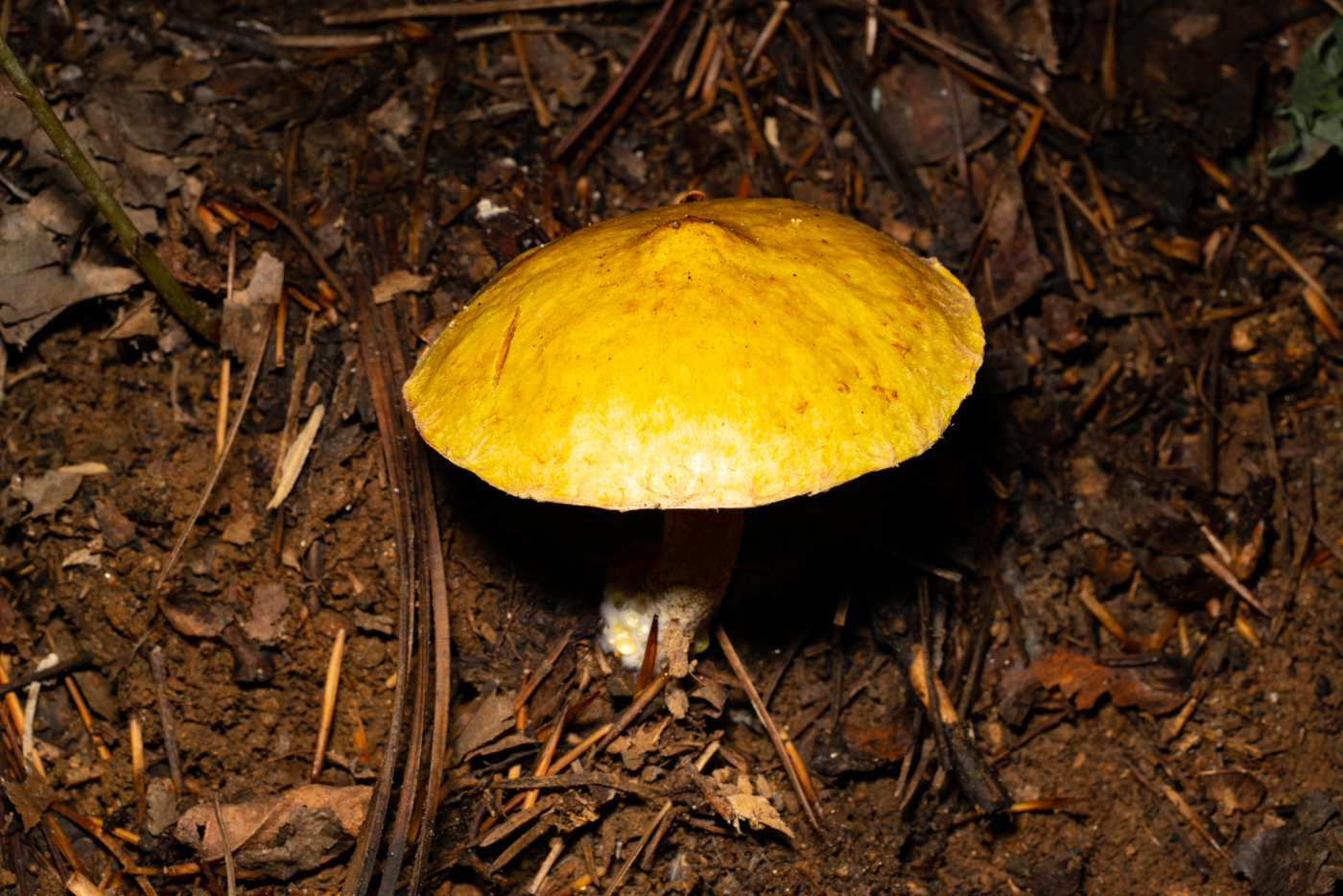 YDY01023.jpg