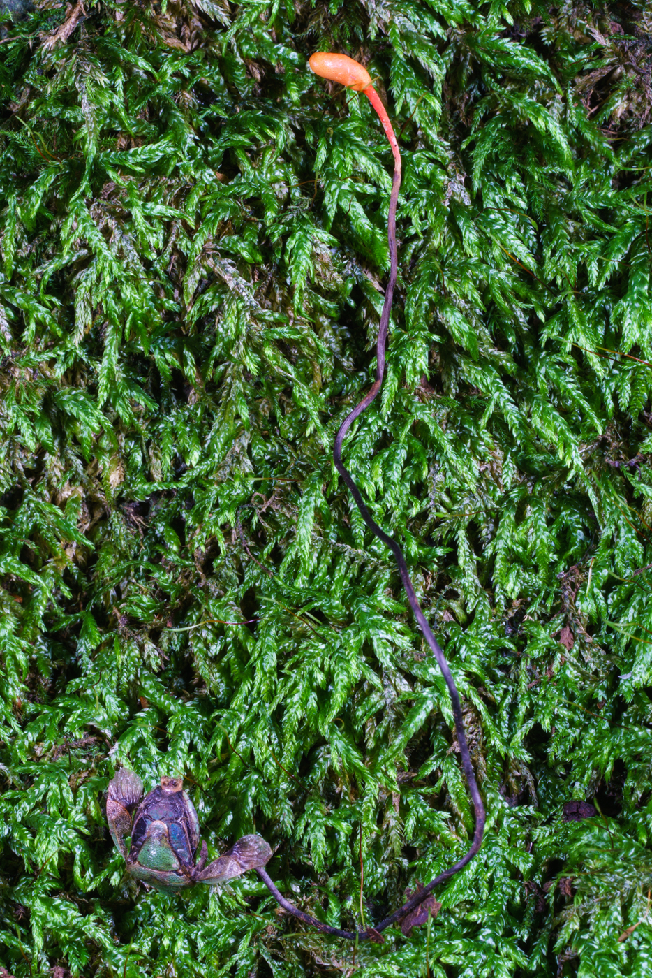 YDY05995.jpg