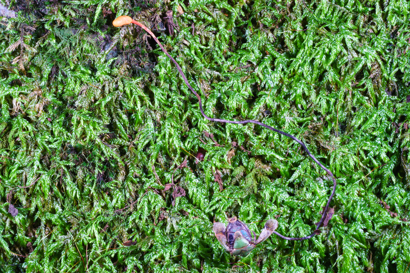 YDY05990.jpg