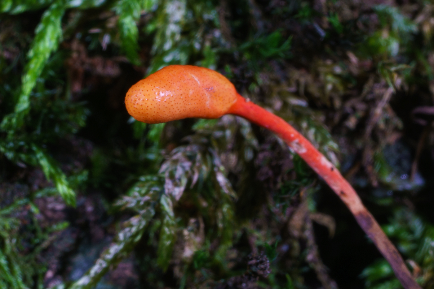 YDY05994.jpg