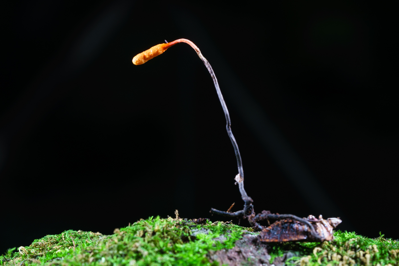 YDY06007.jpg